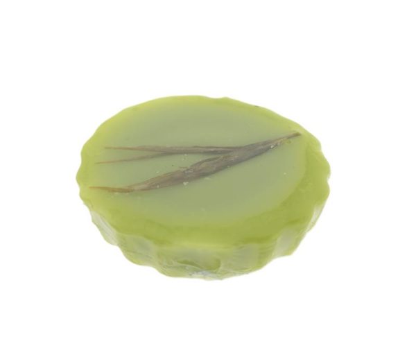 Waxmelts Luxe - Bamboo green tea