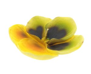 Candle yellow Flowers -1 per box