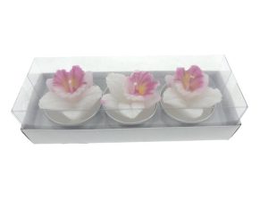 Catalya 3-piece tealight in box