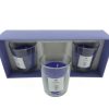 Votive Candle - 3 pack -  Indian Summer